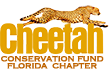 Cheetah Conservation Fund - Florida